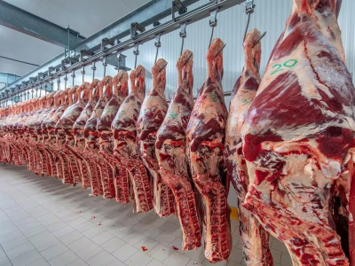 Las exportaciones de carne de Argentina a Estados Unidos se duplicaron